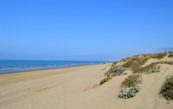 La playa Real de Zaragoza (Marbella) La playa Real de Zaragoza (Marbella)