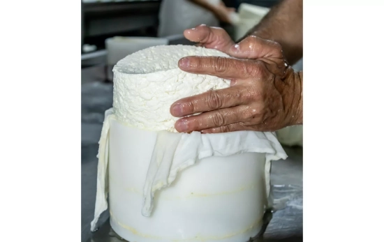 Elaboración tradicional de un queso / QUESERÍA CAMPOVEJA Elaboración tradicional de un queso / QUESERÍA CAMPOVEJA