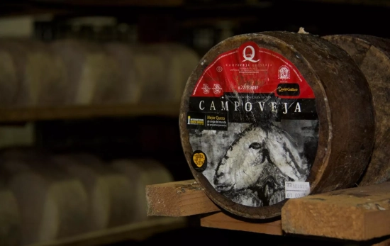 Uno de los quesos de la marca / QUESO CAMPOVEJA Uno de los quesos de la marca / QUESO CAMPOVEJA