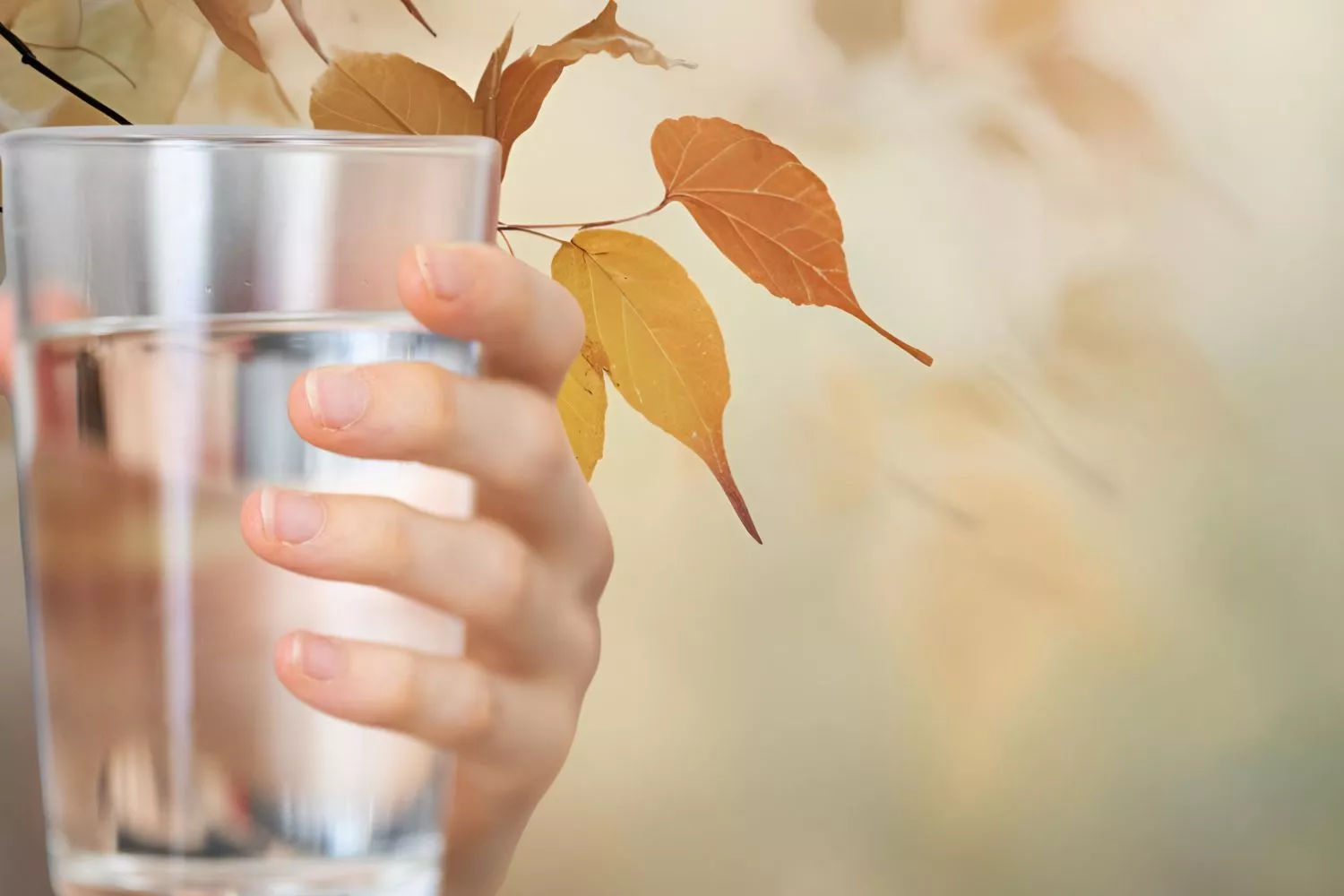 Una persona bebiendo agua en otoño / Montaje CONSUMIDOR GLOBAL