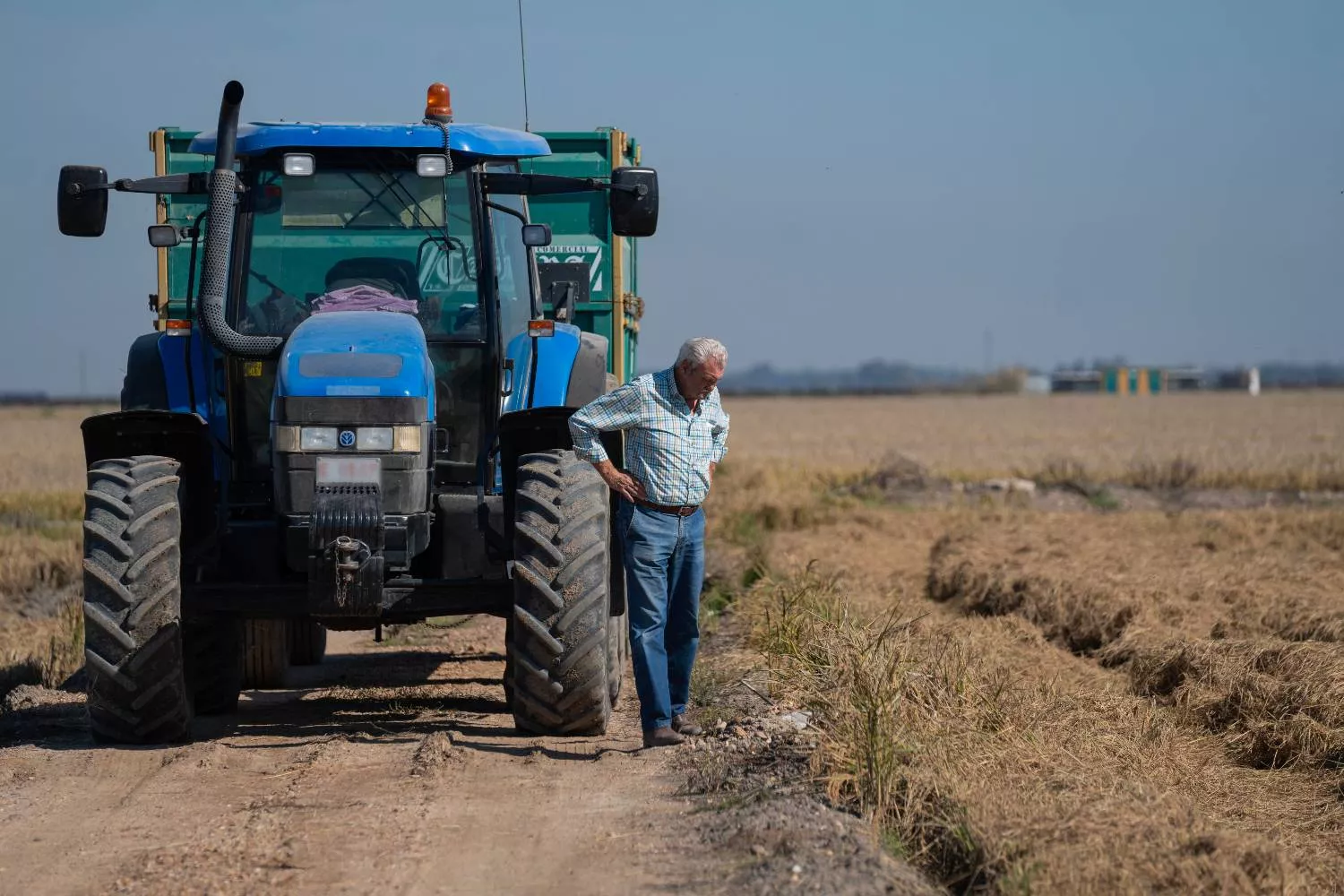 Arrocero durante la recolecta del arroz en las marismas del Guadalquivir / EUROPA PRESS - MARIA JOSE LOPEZ Arrocero durante la recolecta del arroz en las marismas del Guadalquivir / EUROPA PRESS - MARIA JOSE LOPEZ