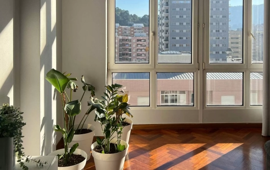 Plantas en un salón / PEXELS