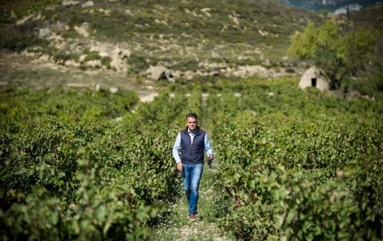 El gerente de Bodegas Izadi, Lalo Antón, en los viñedos de Izadi