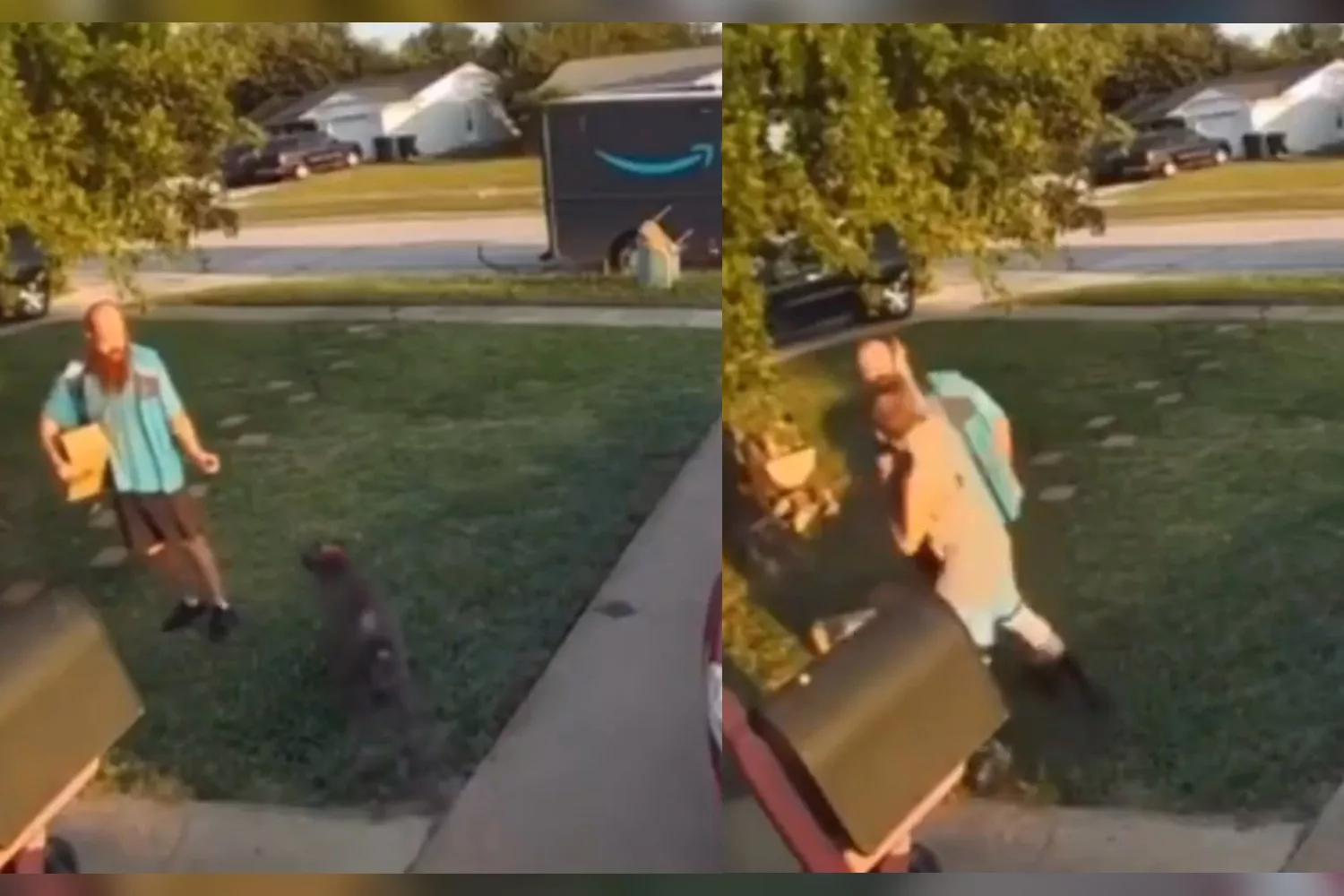 Un repartir de Amazon rocía con gas de pimienta aun perro y su dueño lo abofetea