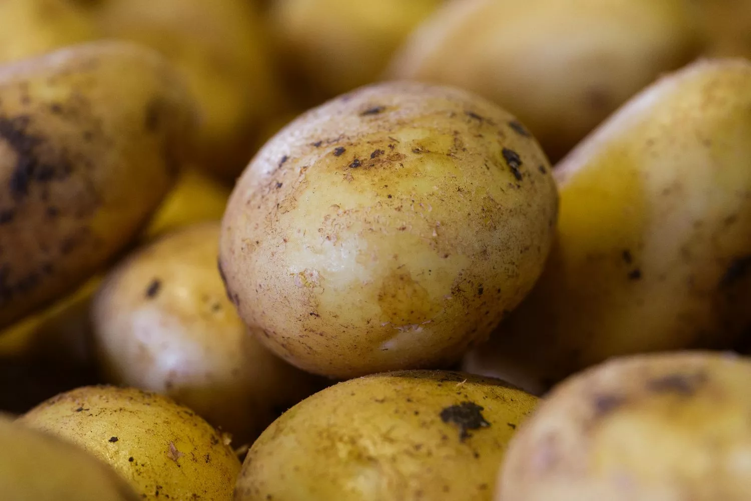 Varias patatas / PEXELS Varias patatas / PEXELS