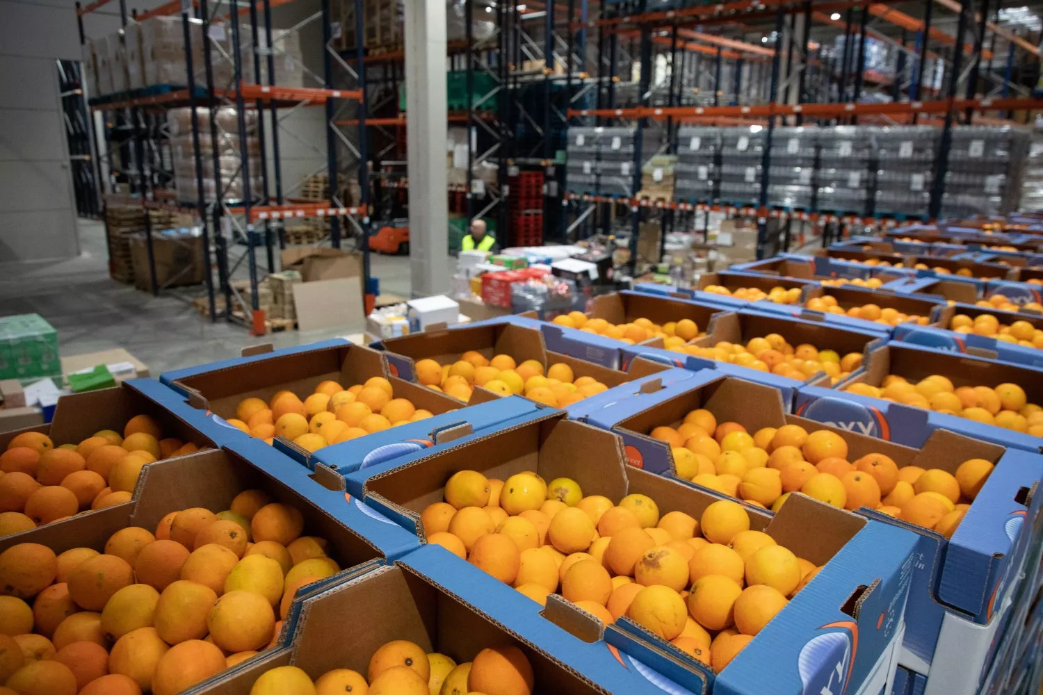 Cajas llenas de naranjas en Alcobendas, Madrid (España) / Rafael Bastante - EP Cajas llenas de naranjas en Alcobendas, Madrid (España) / Rafael Bastante - EP