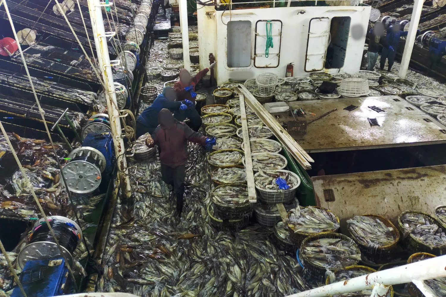 Cubierta de un buque potero con canastas de calamares pescados / EJF (CEDIDA)