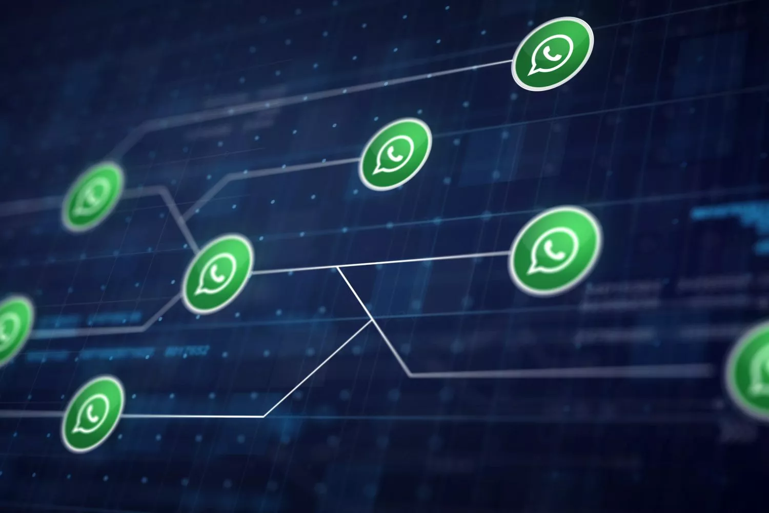 Varios iconos de la aplicación WhatsApp / FREEPIK