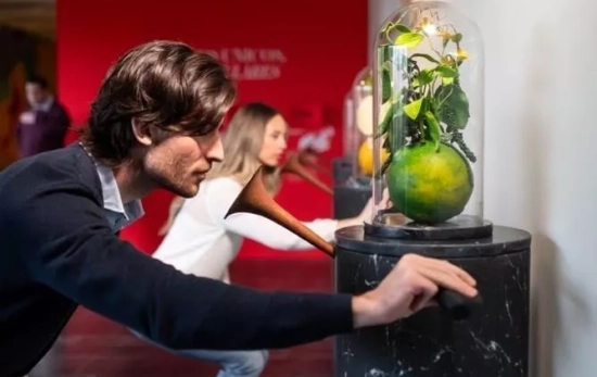 EuropaPress 7014805 ramon bilbao recibe premio experiencia enoturistica mas innovadora best of