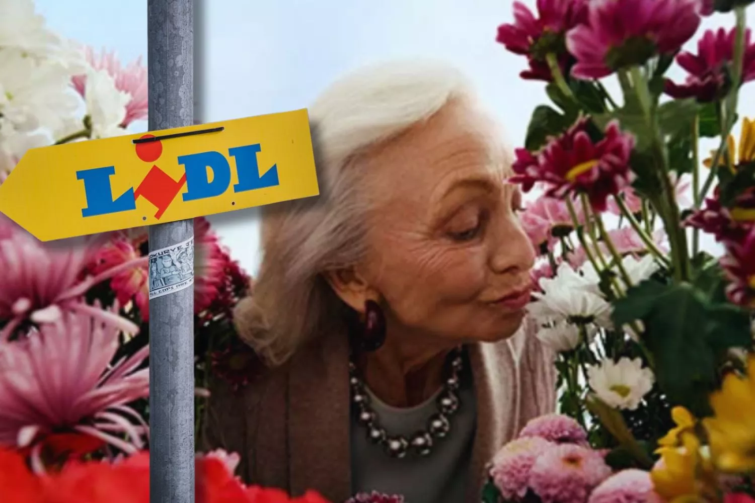 Un logo de Lidl y una persona oliendo ramos de flores para honrar a sus difuntos el Día de Todos los Santos / Montaje CONSUMIDOR GLOBAL Un logo de Lidl y una persona oliendo ramos de flores para honrar a sus difuntos el Día de Todos los Santos / Montaje CONSUMIDOR GLOBAL