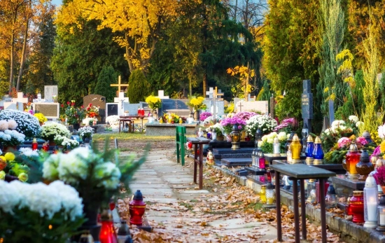 Un cementerio en Día de Todos los Santos/ CANVA Un cementerio en Día de Todos los Santos/ CANVA