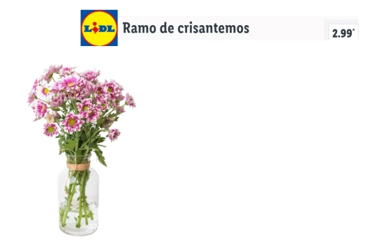 Ramo de crisantemos/ LIDL Ramo de crisantemos/ LIDL