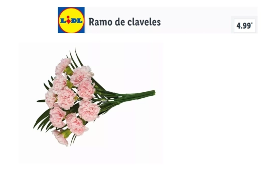 Ramos de claveles/ LIDL  Ramos de claveles/ LIDL