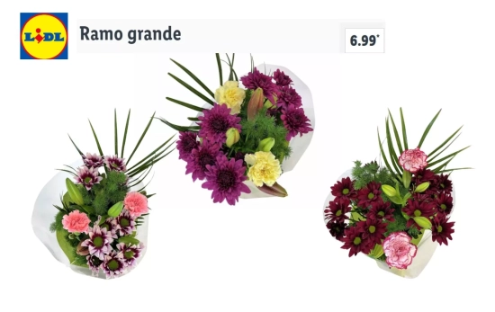 Opciones de ramos grandes por colores/ LIDL Opciones de ramos grandes por colores/ LIDL