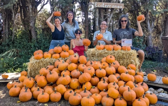 Actividad Pumpkin Patch en la explotación Ecoterranea (Toledo)   EFE Actividad Pumpkin Patch en la explotación Ecoterranea (Toledo)   EFE