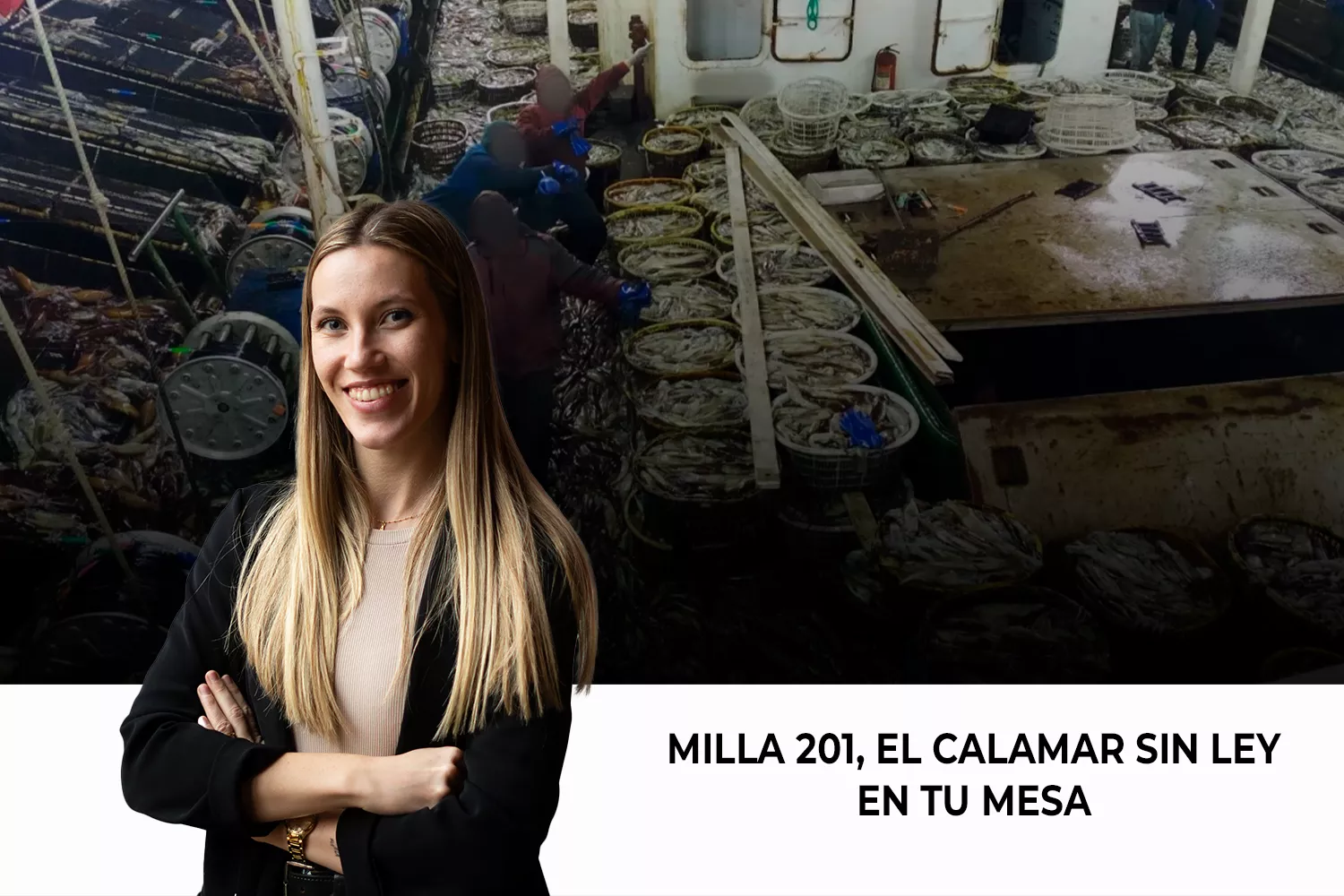 Sin título 1 (5) copy (7) Sin título 1 (5) copy (7)