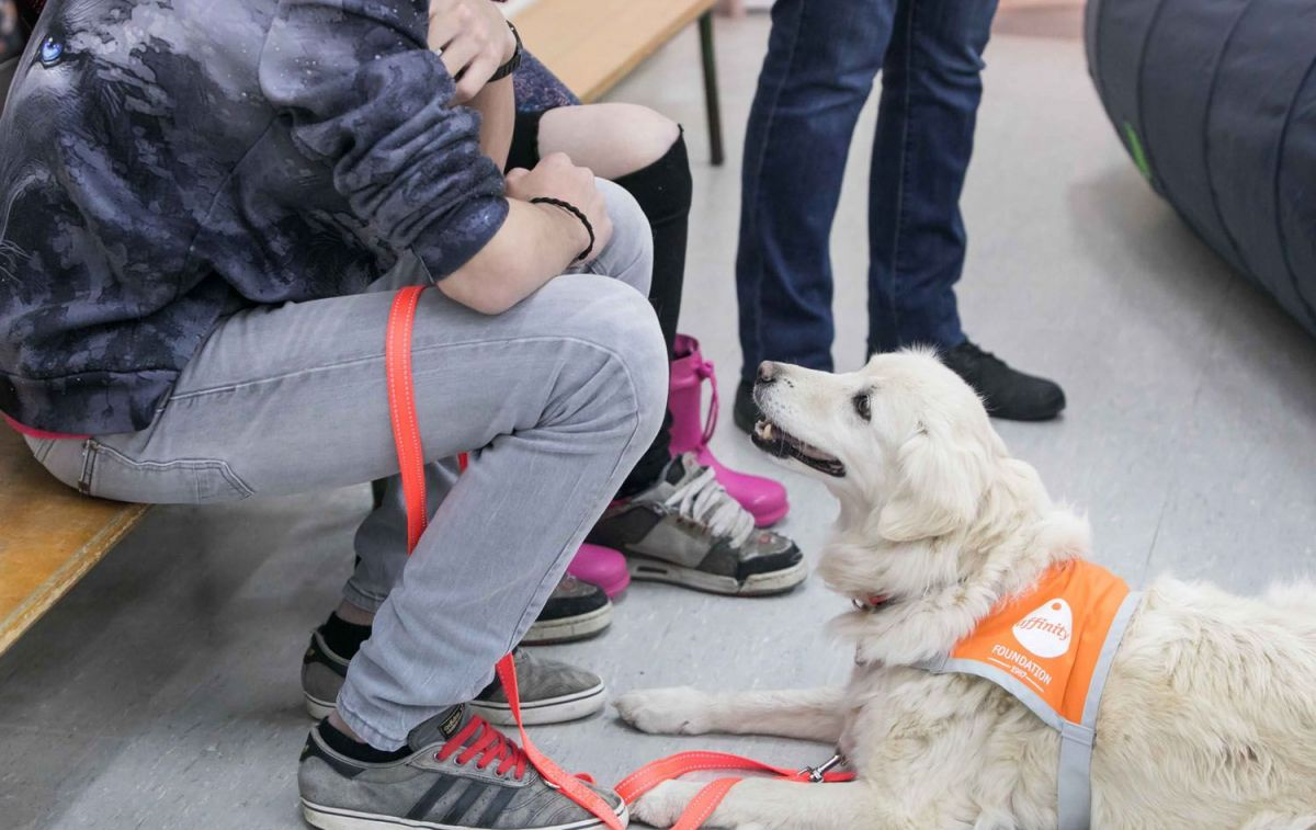 Un adolescente durante una terapia asistida con perros / FUNDACIÓN AFFINITY