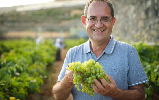 Juan Jesús Méndez / CANARY WINES