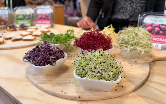 Brotes y germinados de Brot d'Or / CONSUMIDOR GLOBAL Brotes y germinados de Brot d'Or / CONSUMIDOR GLOBAL