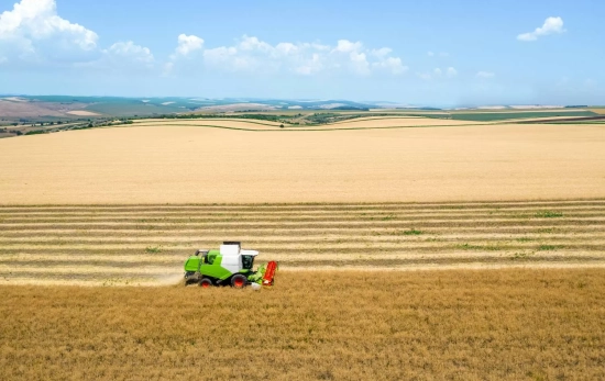 Campos de cultivo / FREEPIK Campos de cultivo / FREEPIK