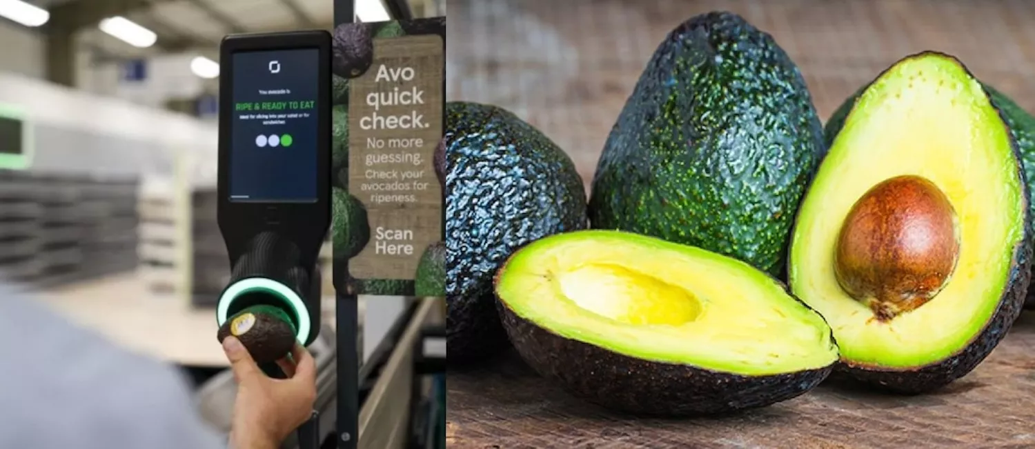Fotomontaje donde aparece el escáner de aguacates junto a otra imagen de esta fruta / CONSUMIDOR GLOBAL