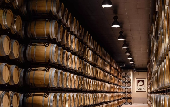 Una bodega del Grupo Marqués del Atrio / MARQUÉS DEL ATRIO