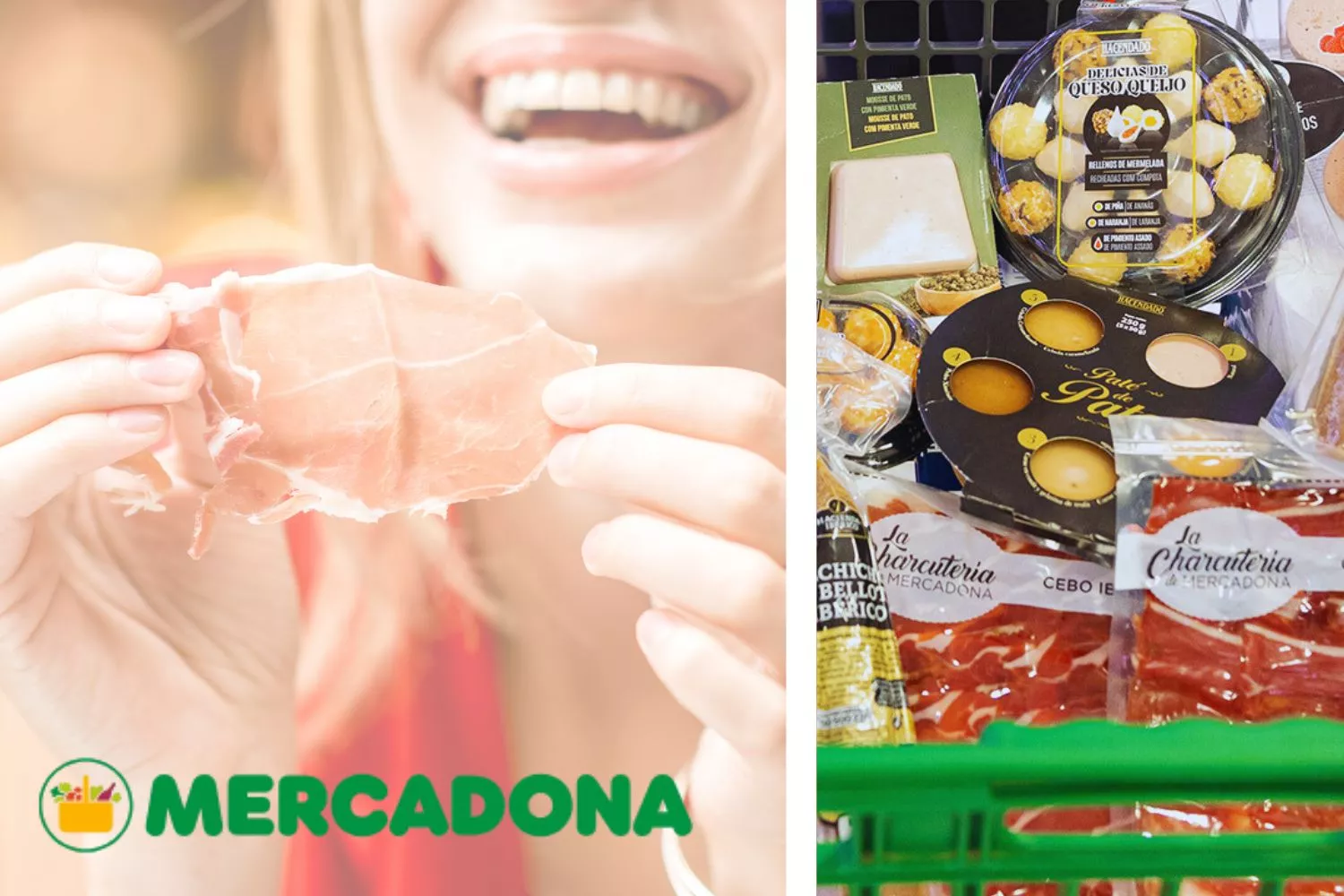 Diseño sin título   2025 11 27T182438.561