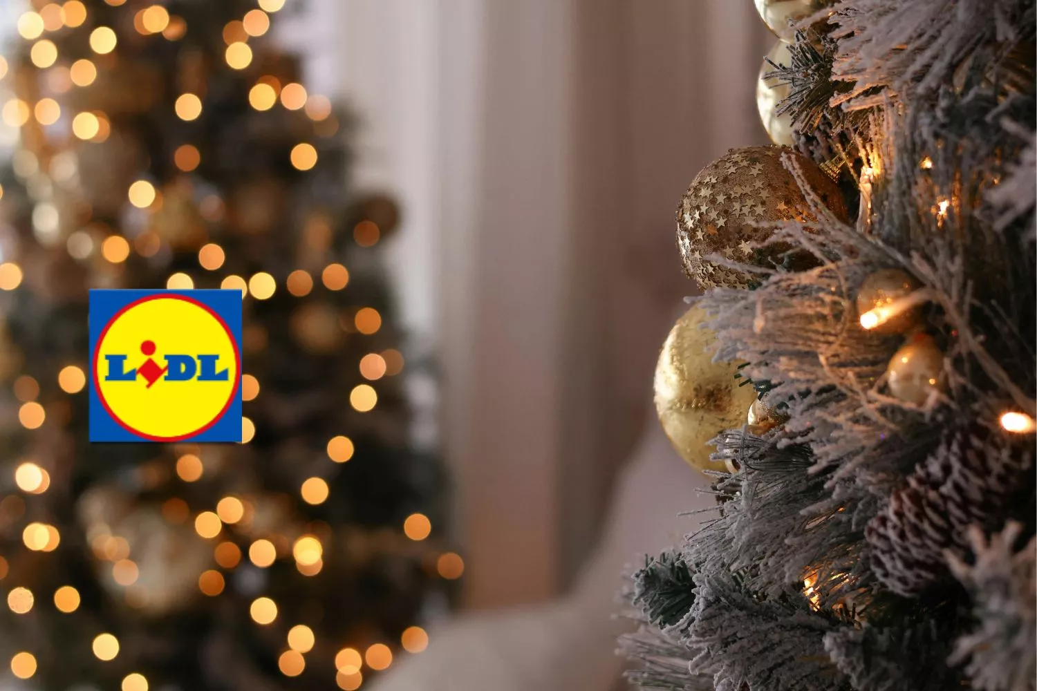 El abeto navideño de Lidl que se ha vuelto viral/ Montaje Consumidor Global El abeto navideño de Lidl que se ha vuelto viral/ Montaje Consumidor Global