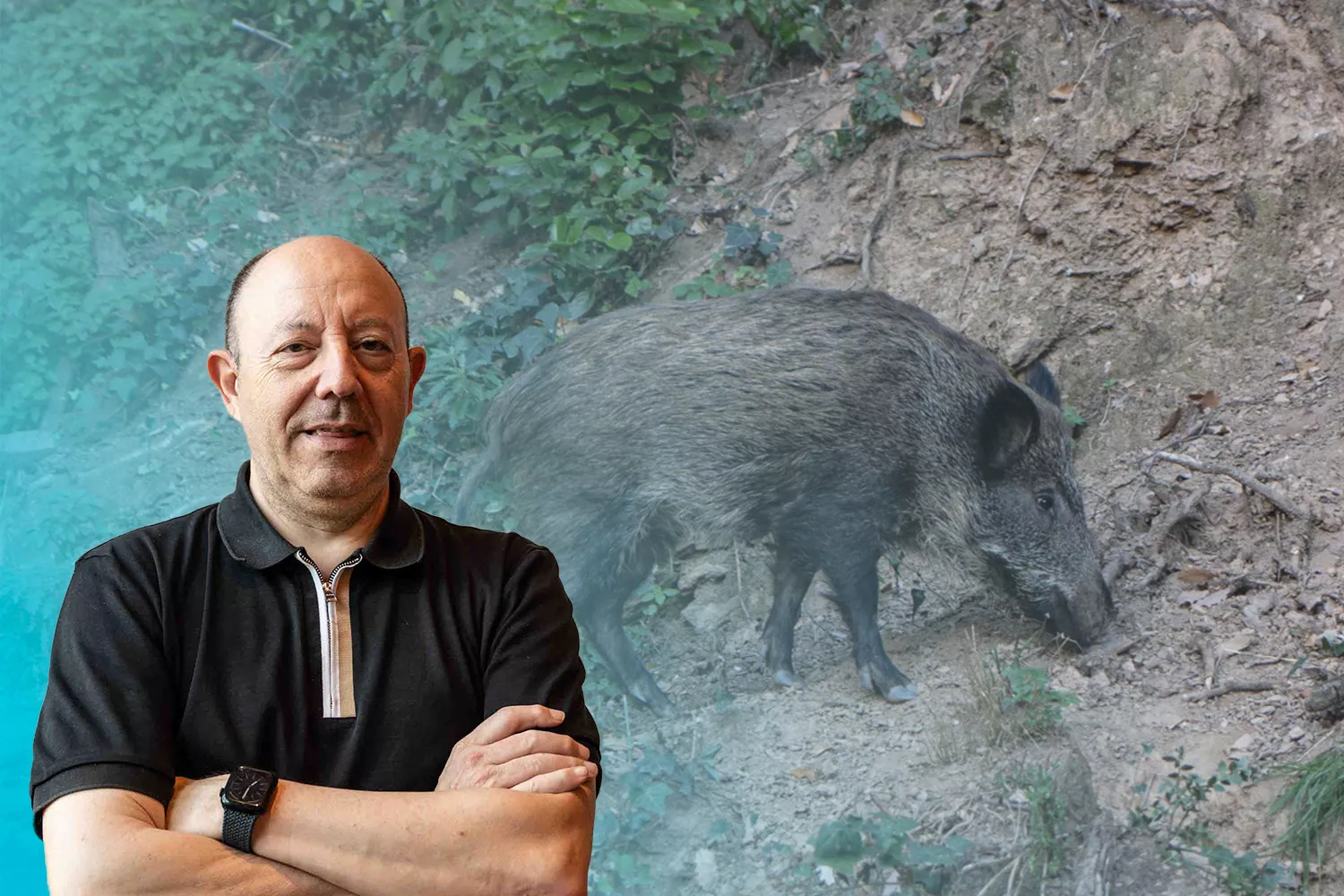 El economista Gonzalo Bernardos con un jabalí de fondo / FOTOMONTAJE CG El economista Gonzalo Bernardos con un jabalí de fondo / FOTOMONTAJE CG