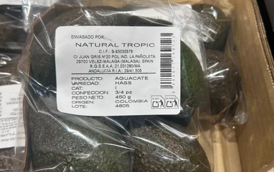 aguacate dia aguacate dia