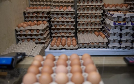 Varias docenas de huevos con el precio disparado Jesús Hellín EP Varias docenas de huevos con el precio disparado Jesús Hellín EP