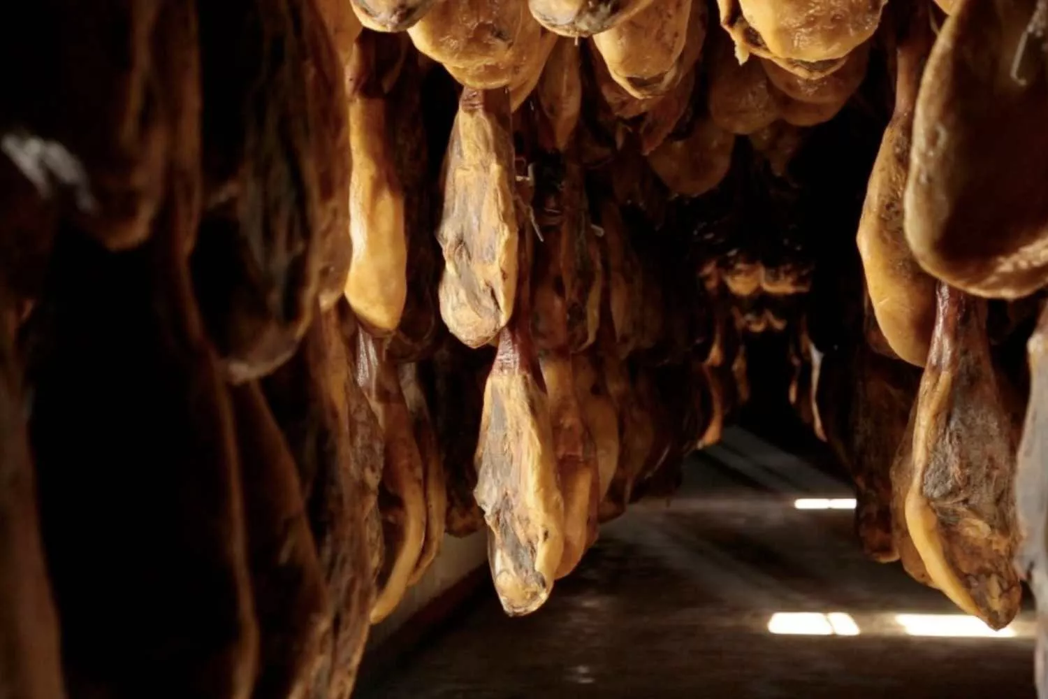 Jamones ibéricos / AYUNTAMIENTO DE JABUGO