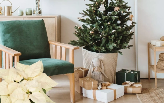 Decoración de Navidad con una flor de Pascua blanca/ Montaje Consumidor Global Decoración de Navidad con una flor de Pascua blanca/ Montaje Consumidor Global