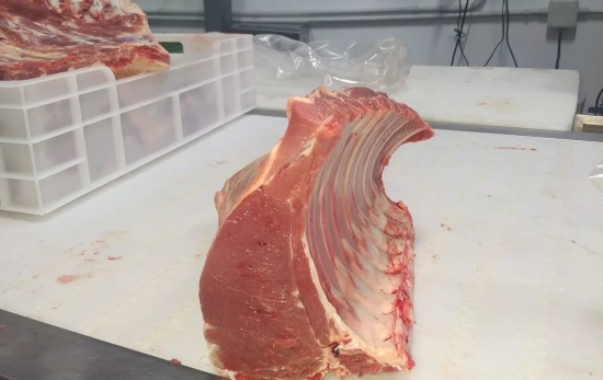 Corte de carne de potro EFEAGRO