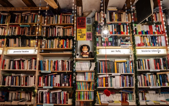 Paredes repletas de libros en la librería On the Road / GALA ESPÍN