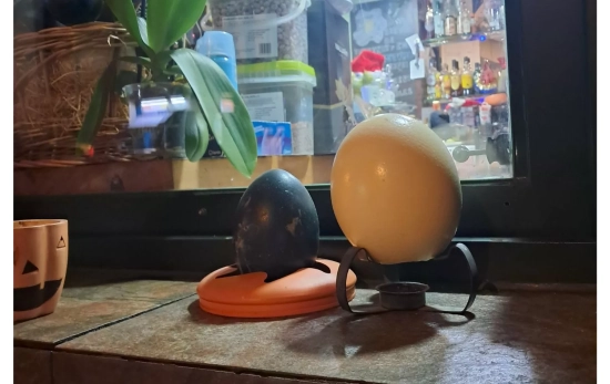 Dos huevos en el exterior del local / CG