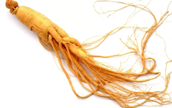 Raíz de ginseng/ CANVA