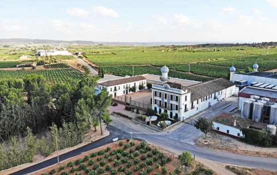 Bodegas Torre Oria / TORRE ORIA