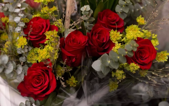 Un ramo de rosas rojas para vender el 14 de febrero   EP
