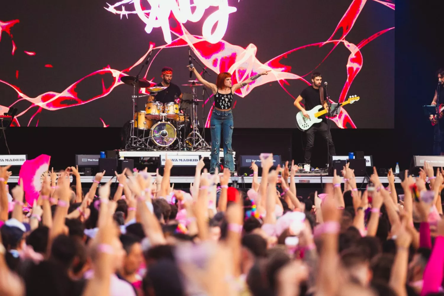 Una imagen de un concierto de Brava Madrid (1)