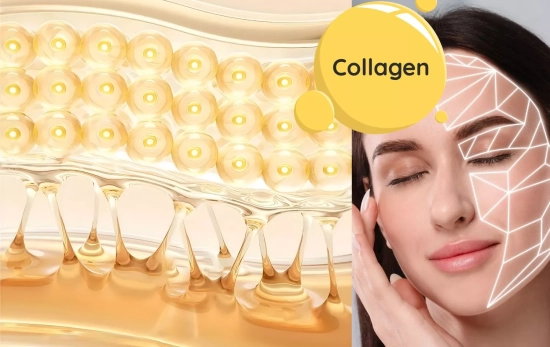 Ejemplo de una muestra del colágeno de la piel / Montaje Consumidor Global Ejemplo de una muestra del colágeno de la piel / Montaje Consumidor Global