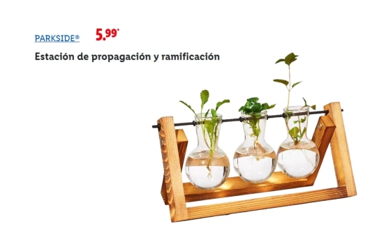 Estación de cultivo en cristal y madera/ LIDL