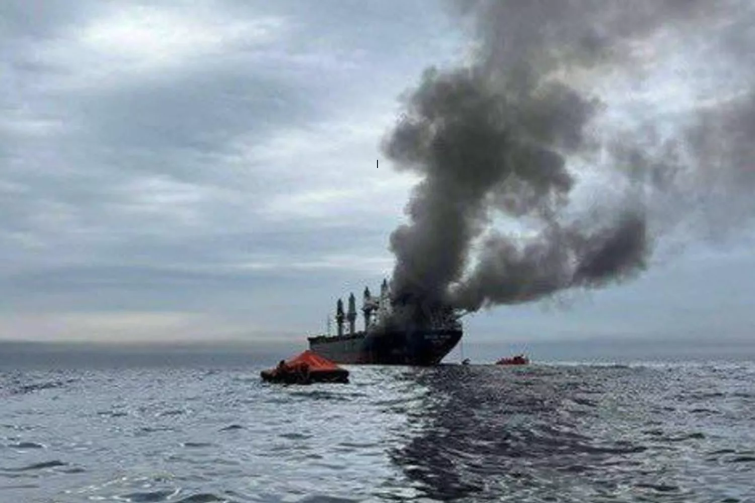 17769   2026 03 12T145159.420