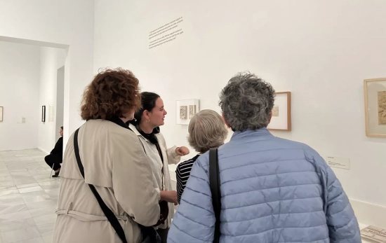 Una experiencia de Voilàrt / CEDIDA