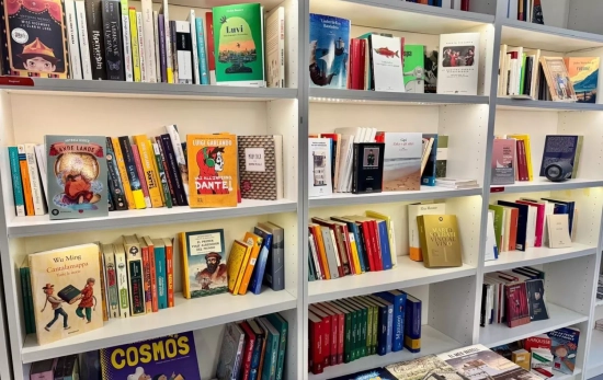 Una estantería con la 'Comedia' y otros libros en italiano / LA PICCOLA