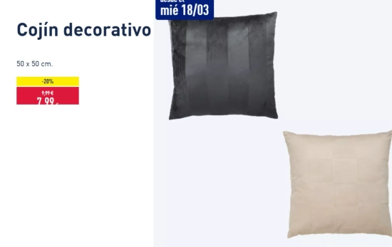Cojín decorativo/ ALDI