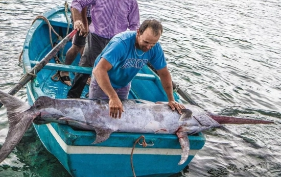 Unos pescadores pescan un pez espada de forma tradicional en Italia / EP