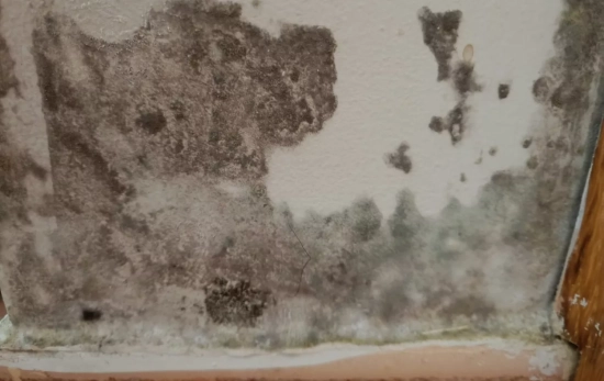La aparación de moho en la vivienda de Juan Linares CEDIDA