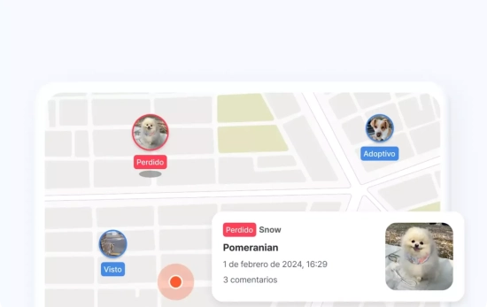 Cómo funciona la app de Petnow / PETNOW