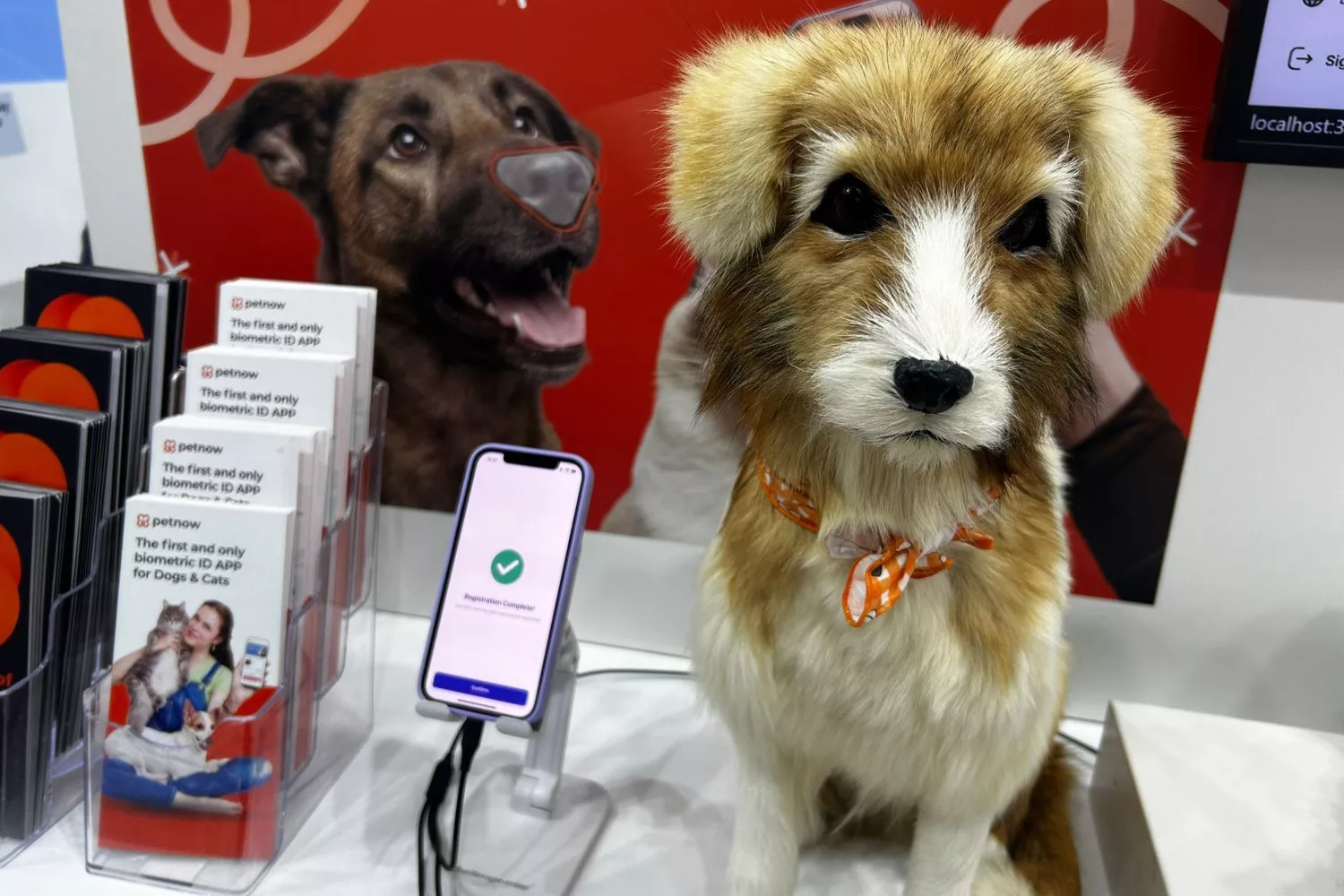 La aplicacion de Petnow para encontrar mascotas perdidas   ANA CARRASCO